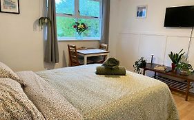 Bright And Comfortable Studio Apartment