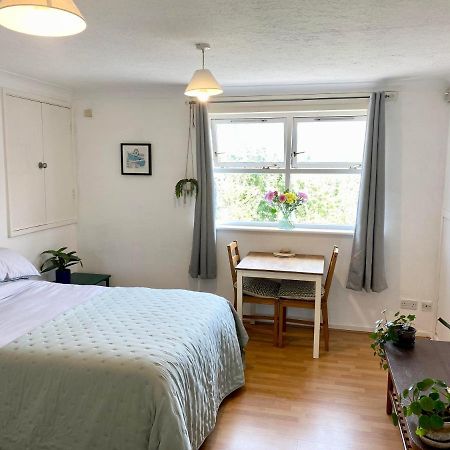 Bright And Comfortable Studio Apartment London Exterior photo
